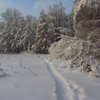 В Москве тоже бывает зима. Но не часто :: Андрей Лукьянов