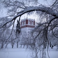 Снег..... :: Екатерина Рябинина