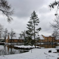 Ботанический сад зимой :: AstaA 
