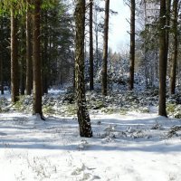 Зимний пейзаж :: Милешкин Владимир Алексеевич 