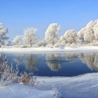 Зимние красоты. :: Евгений Кузнецов