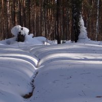 Тропинка :: Елена Тренкеншу