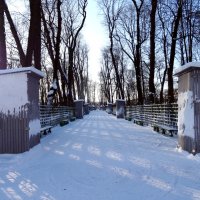 Зима в Летнем саду :: Наталия Короткова