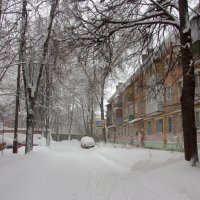 зима :: Валерий Самородов