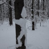 Доказательства зимы :: Андрей Лукьянов