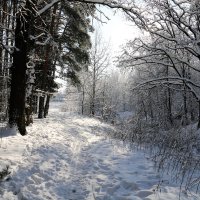 Зима :: Владимир Холодницкий
