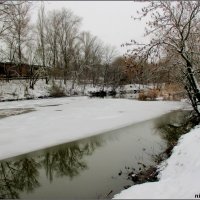 Зимним днём на берегу реки :: Нина Бутко