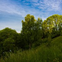 Утро на косогоре. :: Владимир Безбородов