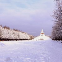 Брянск. Зима 2018 :: Алла Новикова (Качуро)