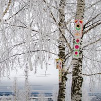 Летние краски зимой :: Александр Лобанов