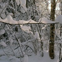 Зима :: Вячеслав 