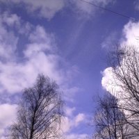 Небо :: Svetlana Lyaxovich