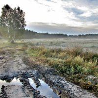 Первый заморозок :: Владимир 