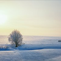 Холодное утро... :: Александр Никитинский