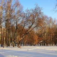 В парке :: Галина Новинская