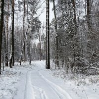 В пригороде Смоленска :: Милешкин Владимир Алексеевич 