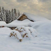 Деревни Вологодчины зимой... :: Федор Кованский