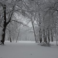 Уходя,зима, наконец-то, заглянула и к нам в Аугсбург... :: Galina Dzubina