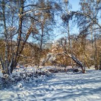 Прогулки по парку. :: Василий Ярославцев