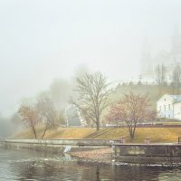 В тумане :: Алексей Румянцев