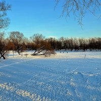 Наш зимний Парк... :: Sergey Gordoff