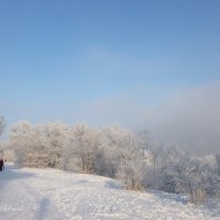 Прогулка январским днём :: galina tihonova