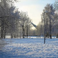 В глубине зимнего Парка... :: Sergey Gordoff