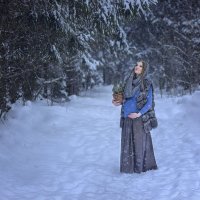 Зима-Зимушка :: Виктория Дубровская