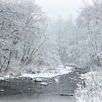 Первый снег :: Юлия Долгополова