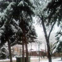 Снег снег :: Сергей 