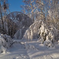 17 февраля 2018 :: Андрей Дворников