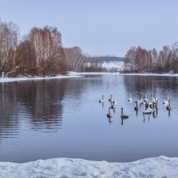 Озеро Лебединое :: Виктор Четошников