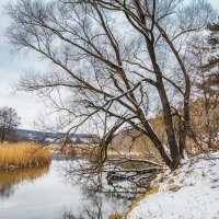 Зимнее спокойствие :: Игорь Сарапулов