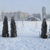 Зимняя природа. :: Валентина Жукова