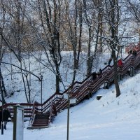 Лестница из Дьяковского сада в Голосовой овраг :: Елена Павлова (Смолова)