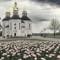 Катерининская церковь. :: Андрий Майковский