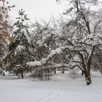 Февраль. :: Владимир Безбородов