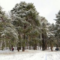 Снежный февраль :: Милешкин Владимир Алексеевич 