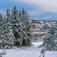 Первый снег осенний :: Лариса Рыбакова