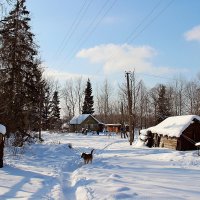 Деревенька Устье. :: Нина Бурченкова.