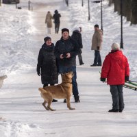 "Это кто ж тут летает и жужжит?!" :: Владимир Безбородов