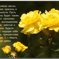 С Праздником Дорогие Женщины! :: Sergey (Apg)