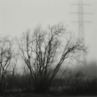 Осень. Туман. :: Николай Емелин