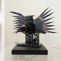"Крутая ворона" :: Natalia Harries