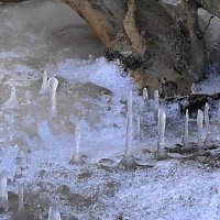 Ледяные сталагмиты на берегу моря :: Маргарита Батырева