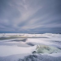 Южный берег Финского залива. :: Юрий 