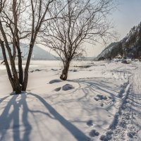 Свет и тени :: Анатолий Соляненко