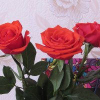 Розы в марте... :: Валюша Черкасова