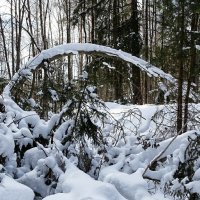 Напоминание о снежном феврале :: Милешкин Владимир Алексеевич 
