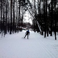 Одинокий лыжник :: Мила 